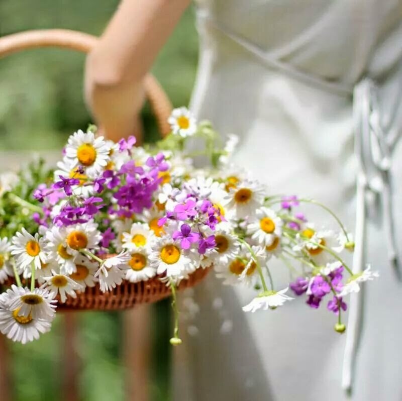 Person Holding Flower Basket — White