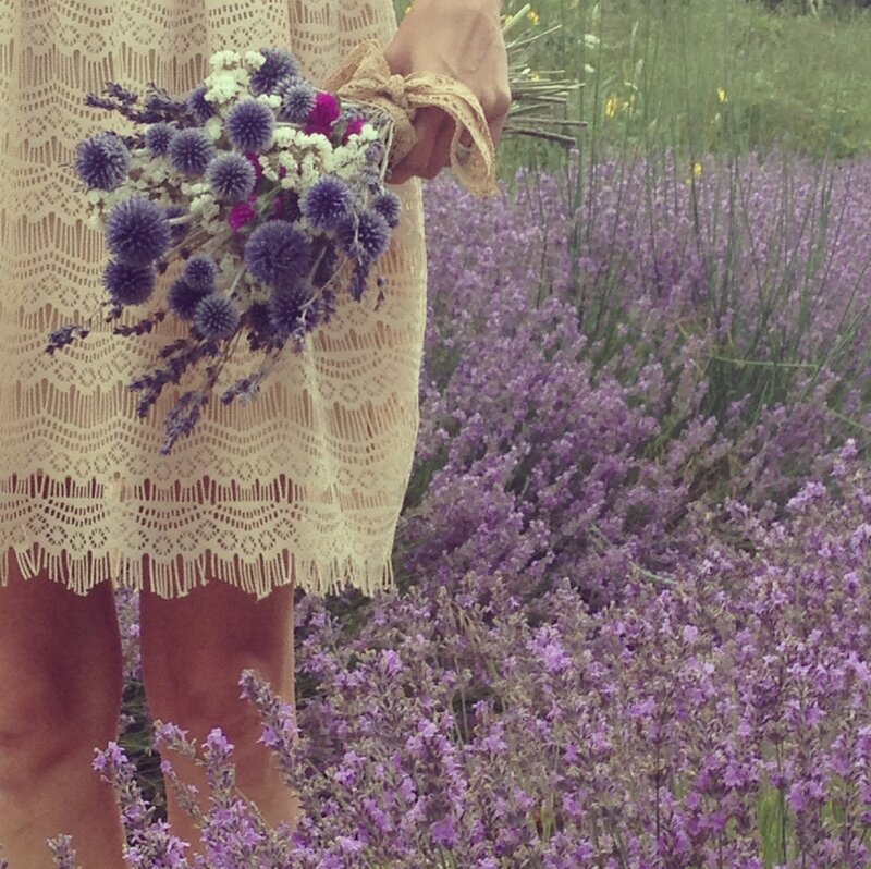 Person Holding Flower Bouquet