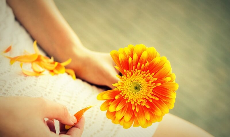 Person Holding Flower — Yellow