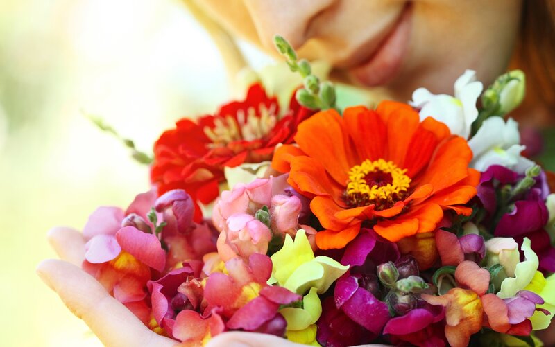 Person Holding Flowers — Orange, Serene