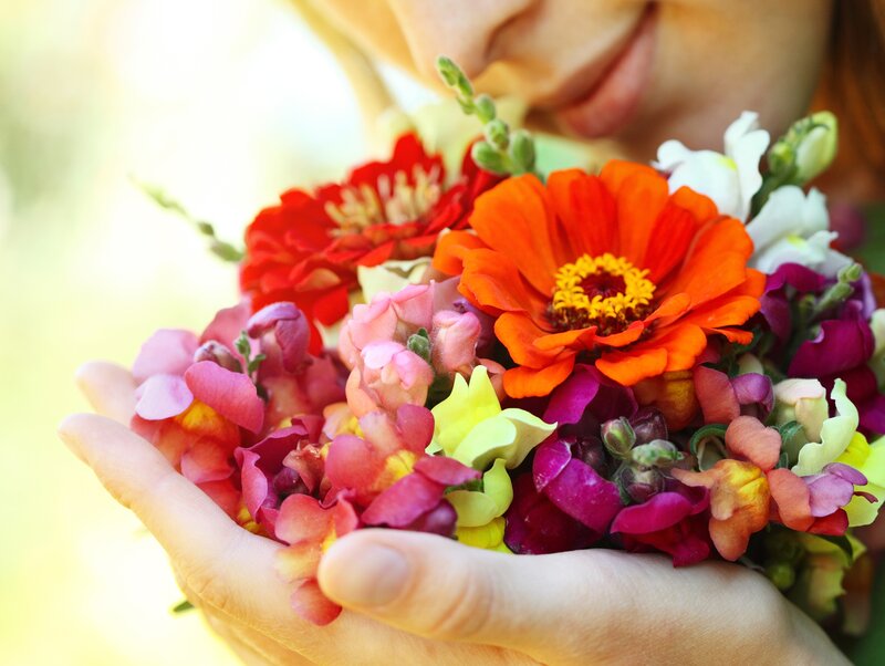 Person Holding Flowers — Orange