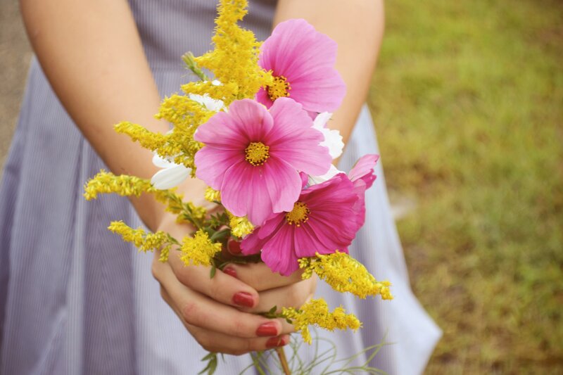 Person Holding Flowers — Pink, Serene