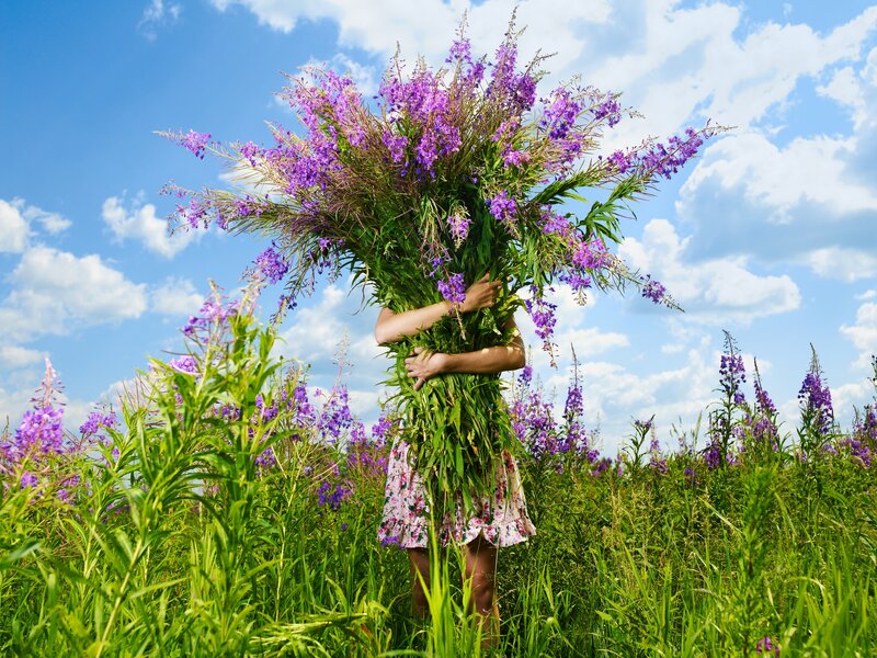 Person Holding Flowers — Purple, Serene, Summer