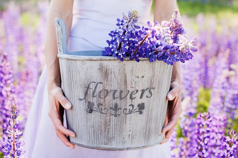 Person Holding Flowers — Purple, Serene