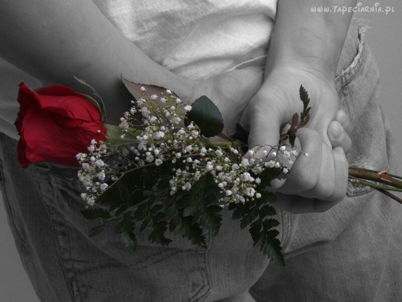Person Holding Flowers — Red, Calm