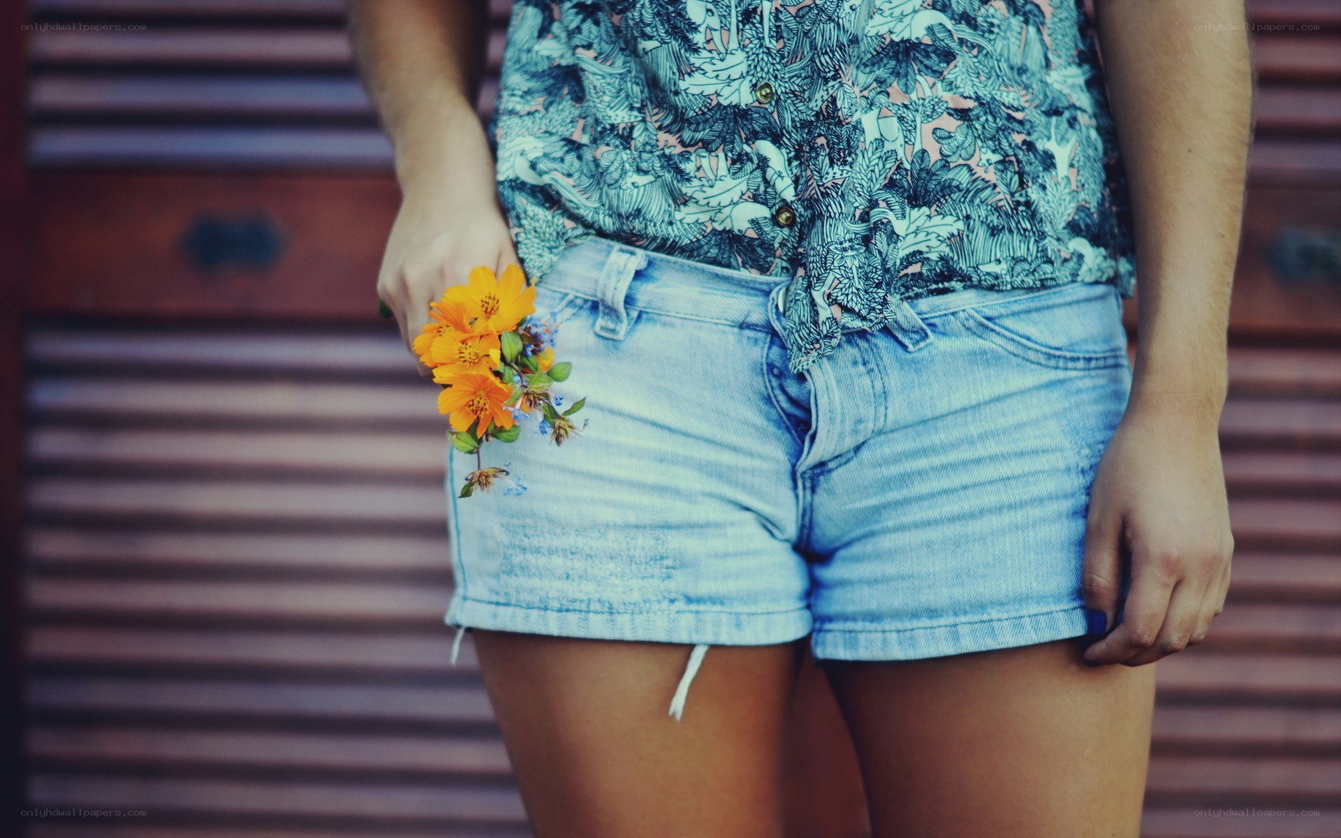 person holding flowers