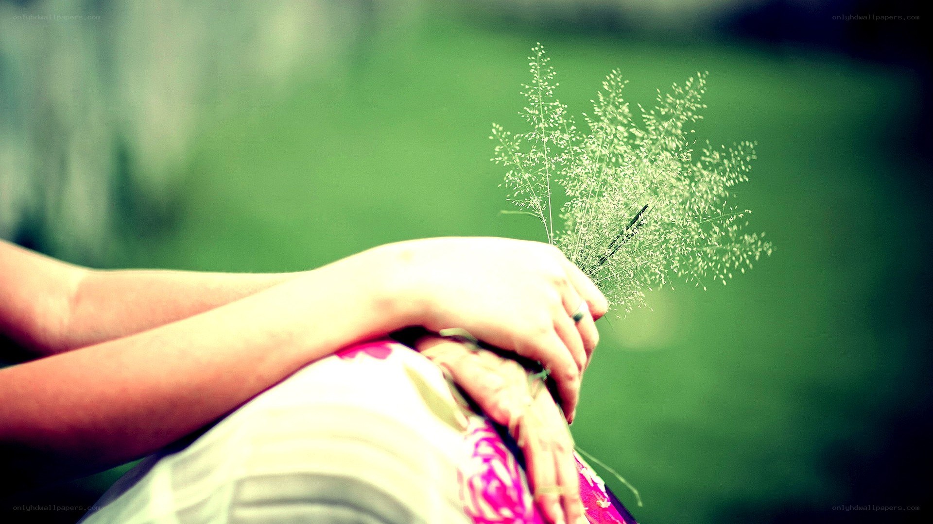 person holding grass in hands