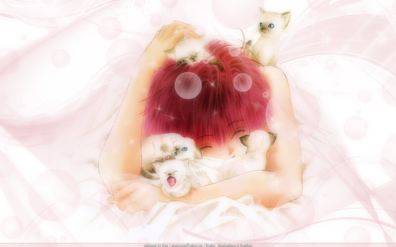 Person Holding Kittens — Pink