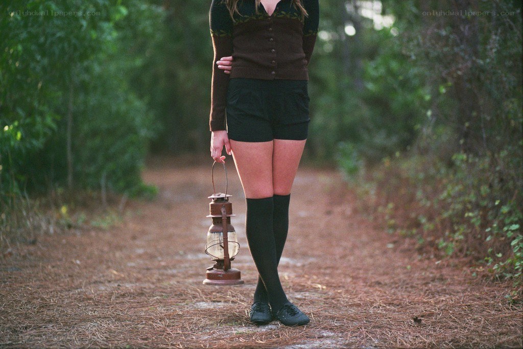 person holding lantern on path