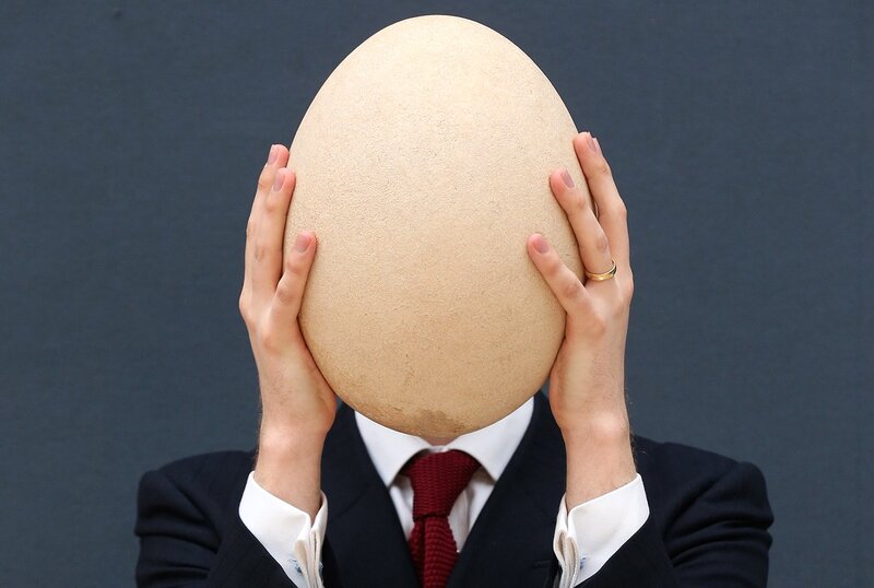person holding large egg