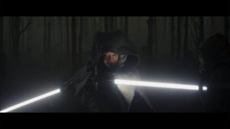Person Holding Lightsabers — Black