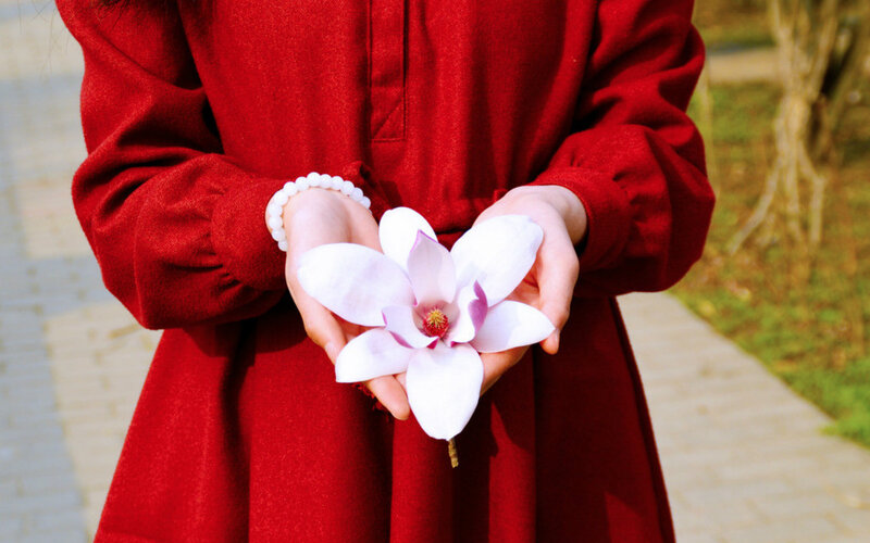 Person Holding Magnolia Flower