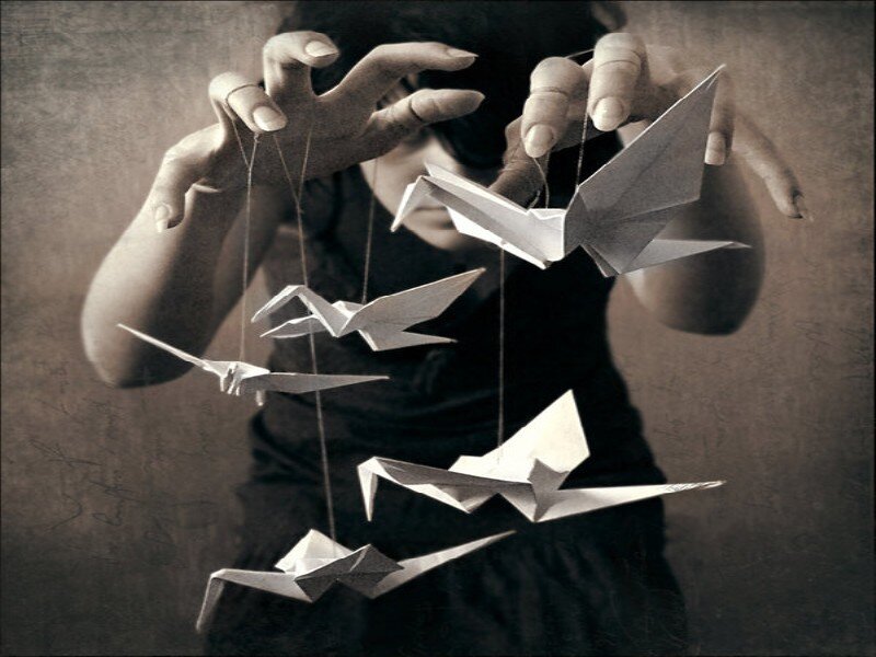 Person Holding Origami Cranes