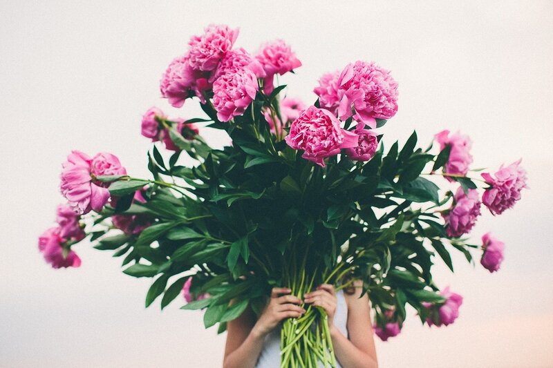Person Holding Peonies — Pink
