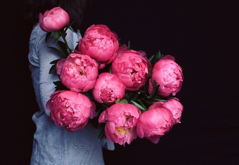 Person Holding Peonies
