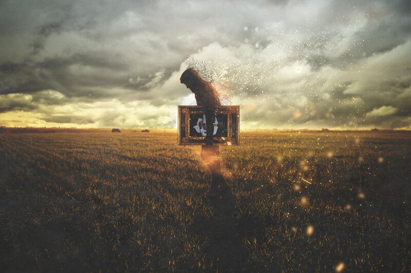 Person Holding Photo Frame