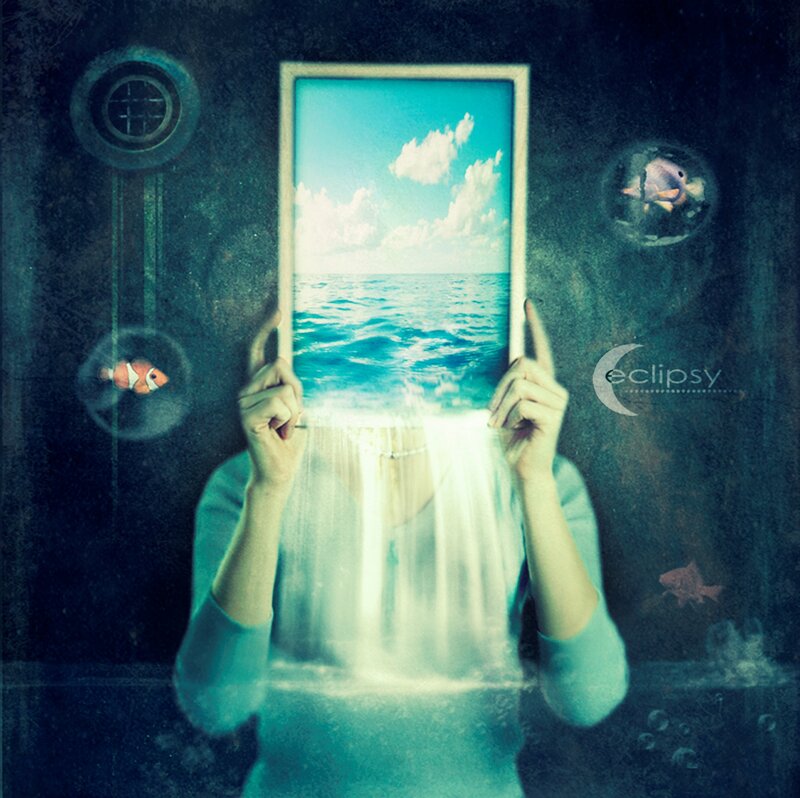 Person Holding Picture