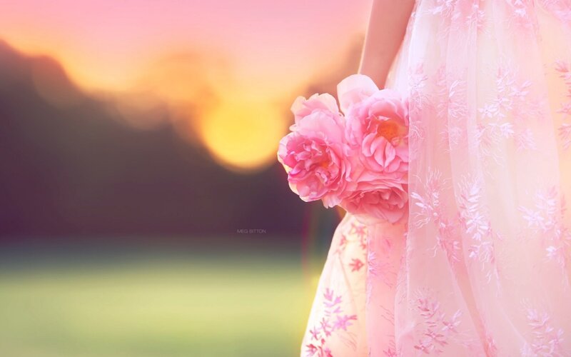 Person Holding Pink Flowers