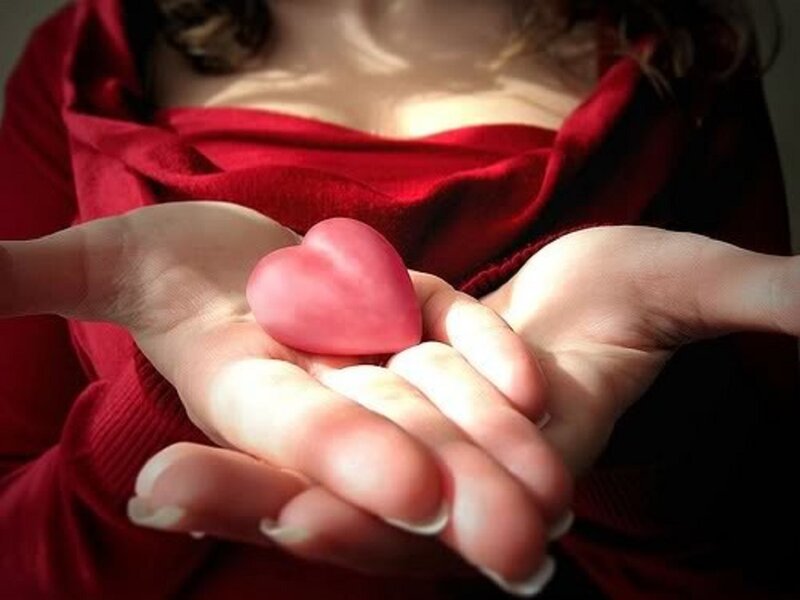 Person Holding Pink Heart