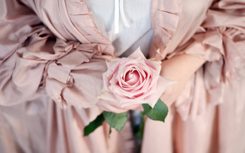 Person Holding Pink Rose