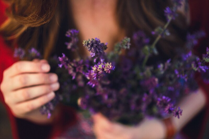 Person Holding Purple Flowers — Calm