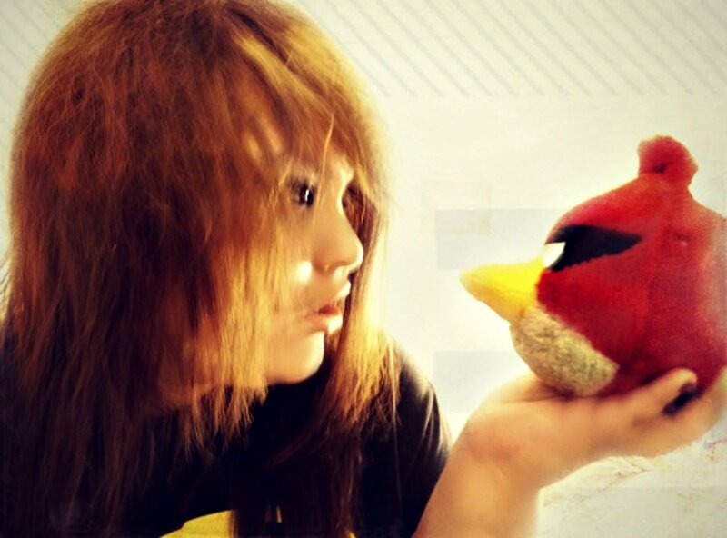 Person Holding Red Bird