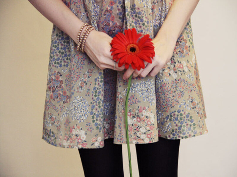 Person Holding Red Flower
