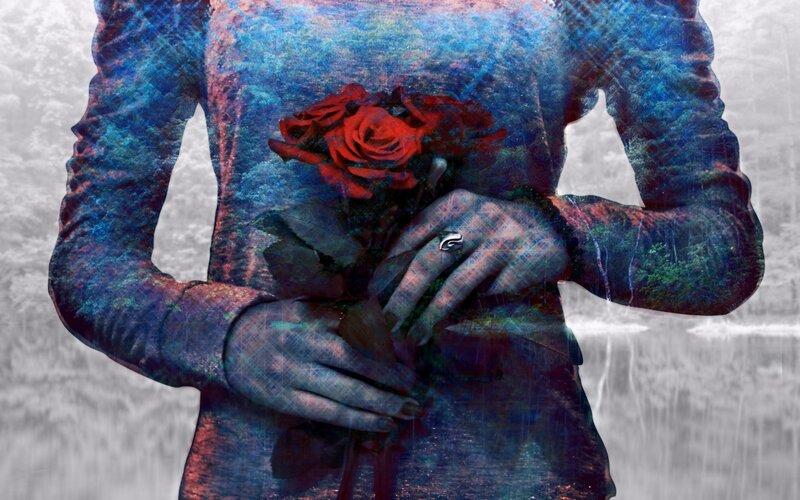 Person Holding Red Rose — Blue