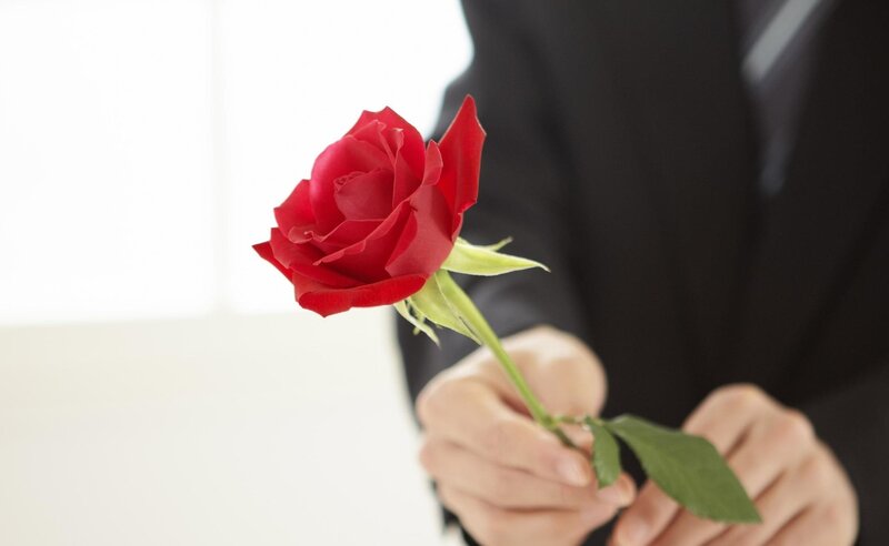 Person Holding Red Rose — Calm