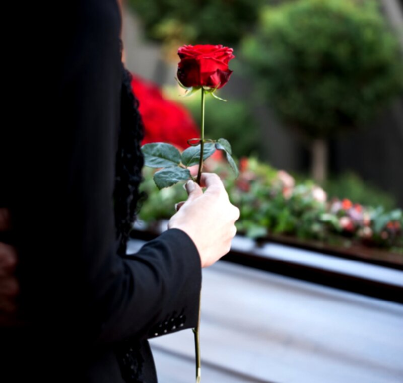 Person Holding Red Rose — Somber