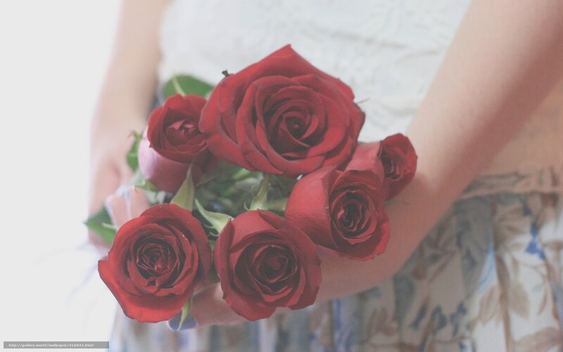 Person Holding Red Roses — Calm, Photograph