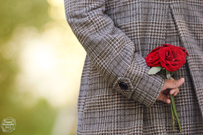 Person Holding Red Roses