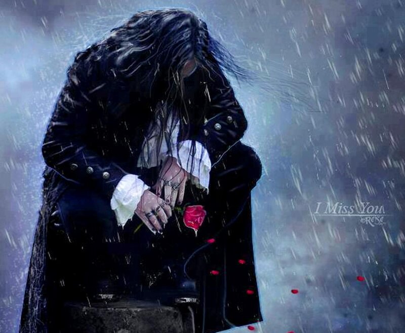 Person Holding Rose