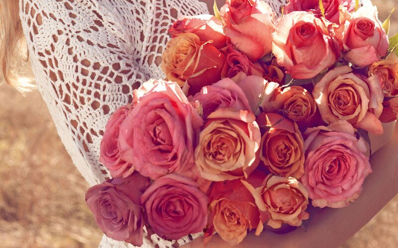 Person Holding Roses — Pink, Serene, Afternoon