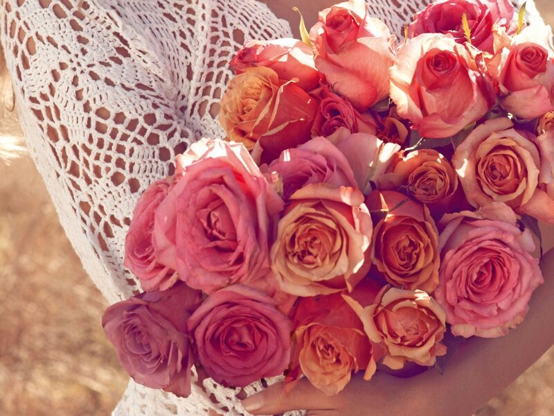 Person Holding Roses — Pink, Serene