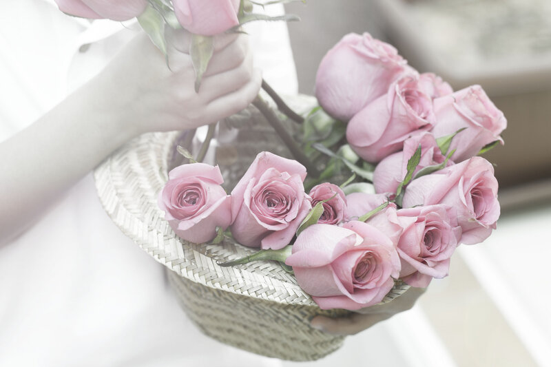 Person Holding Roses — Pink