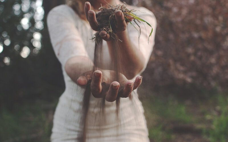 Person Holding Soil