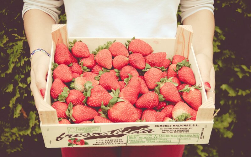 Person Holding Strawberries