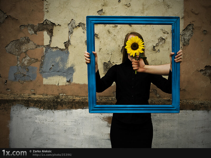 Person holding sunflower in frame