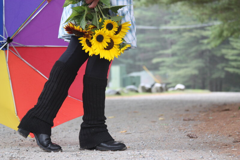 Person Holding Sunflowers