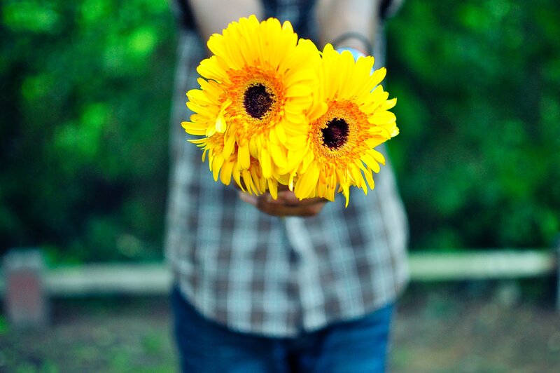 Person Holding Sunflowers — Yellow, Calm