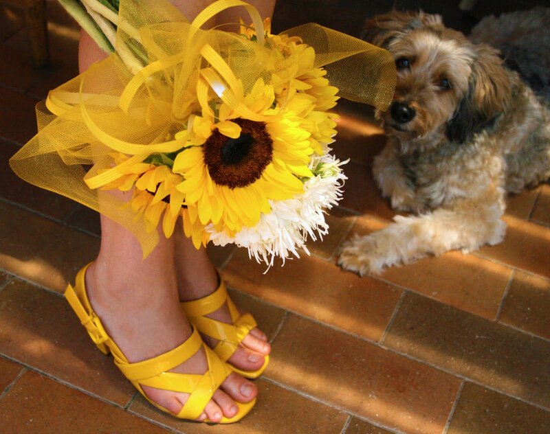 Person Holding Sunflowers — Yellow