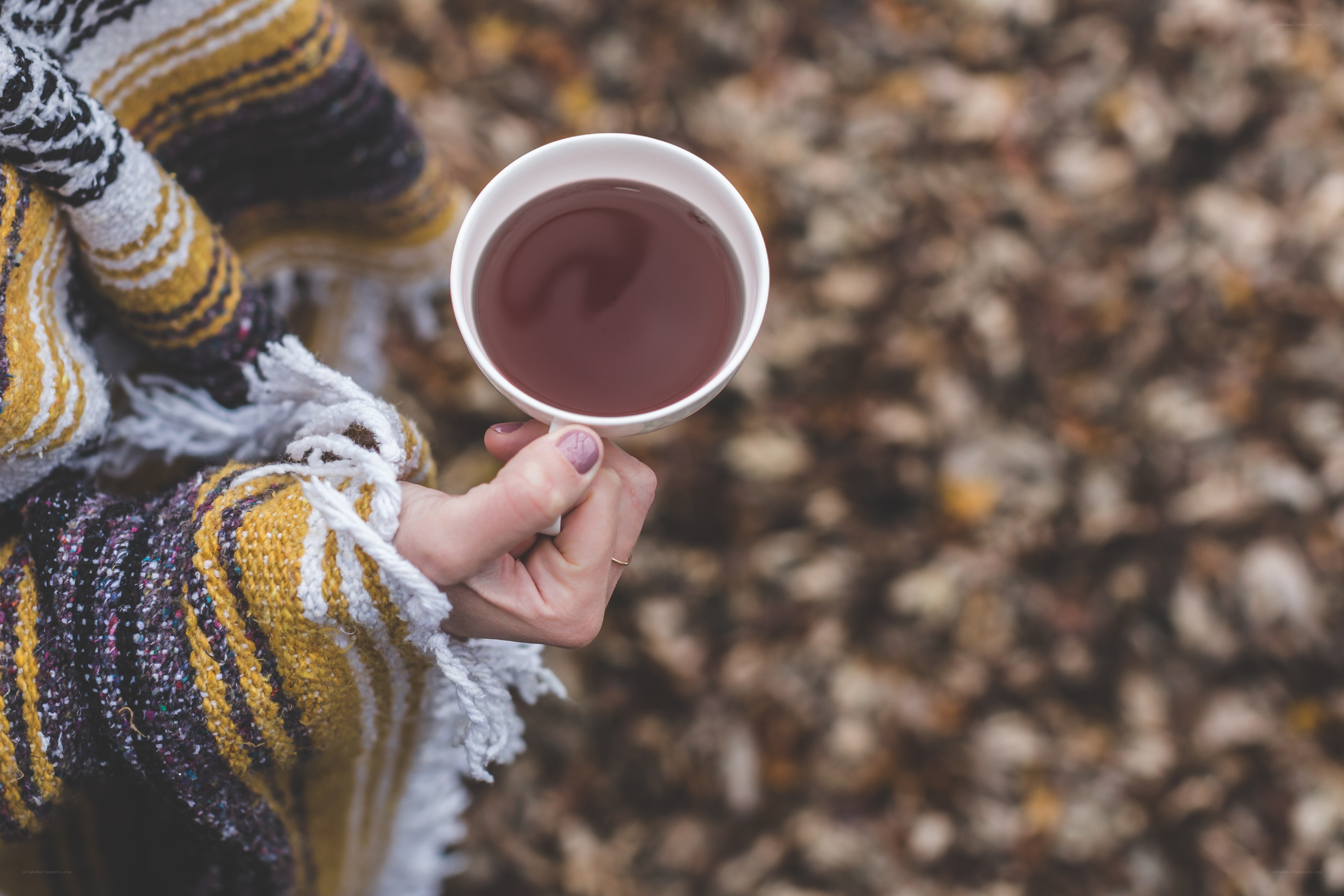 person holding tea cup