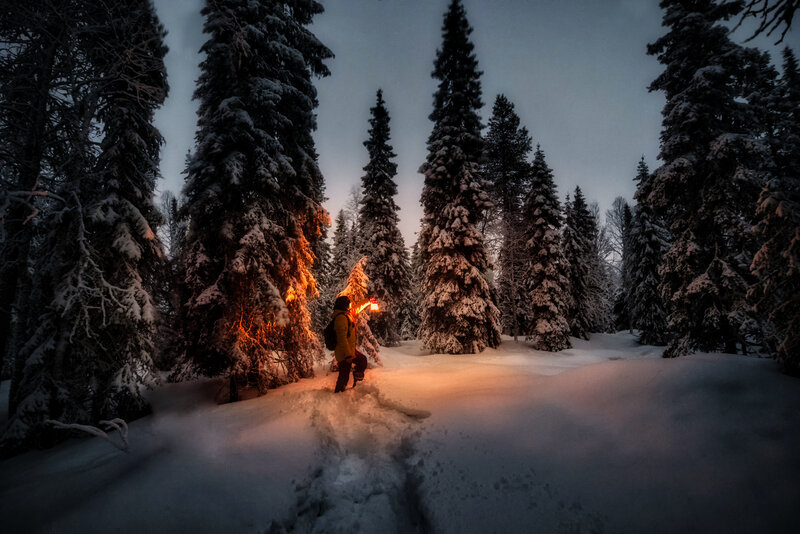 Person Holding Torch in Forest