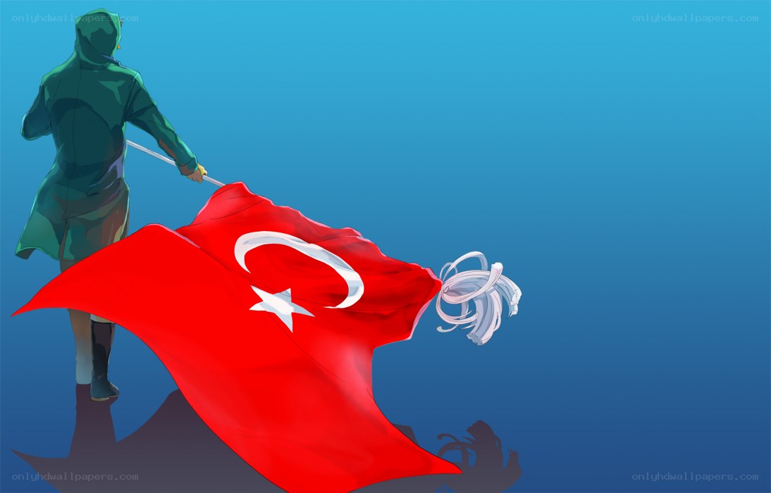 person holding turkish flag