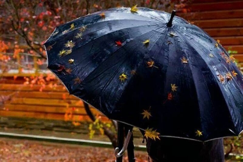 Person Holding Umbrella — Black, Melancholic