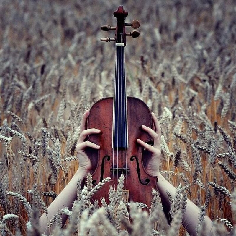 Person Holding Violin — Brown, Serene