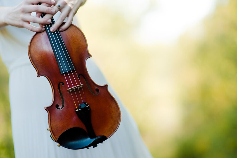 Person Holding Violin — Brown