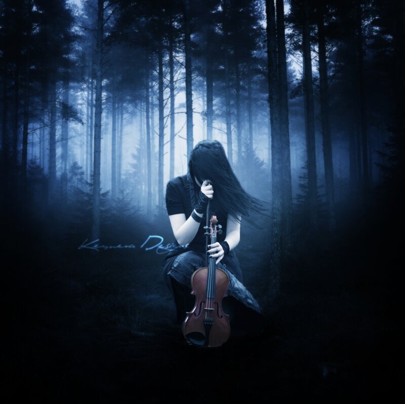 Person Holding Violin