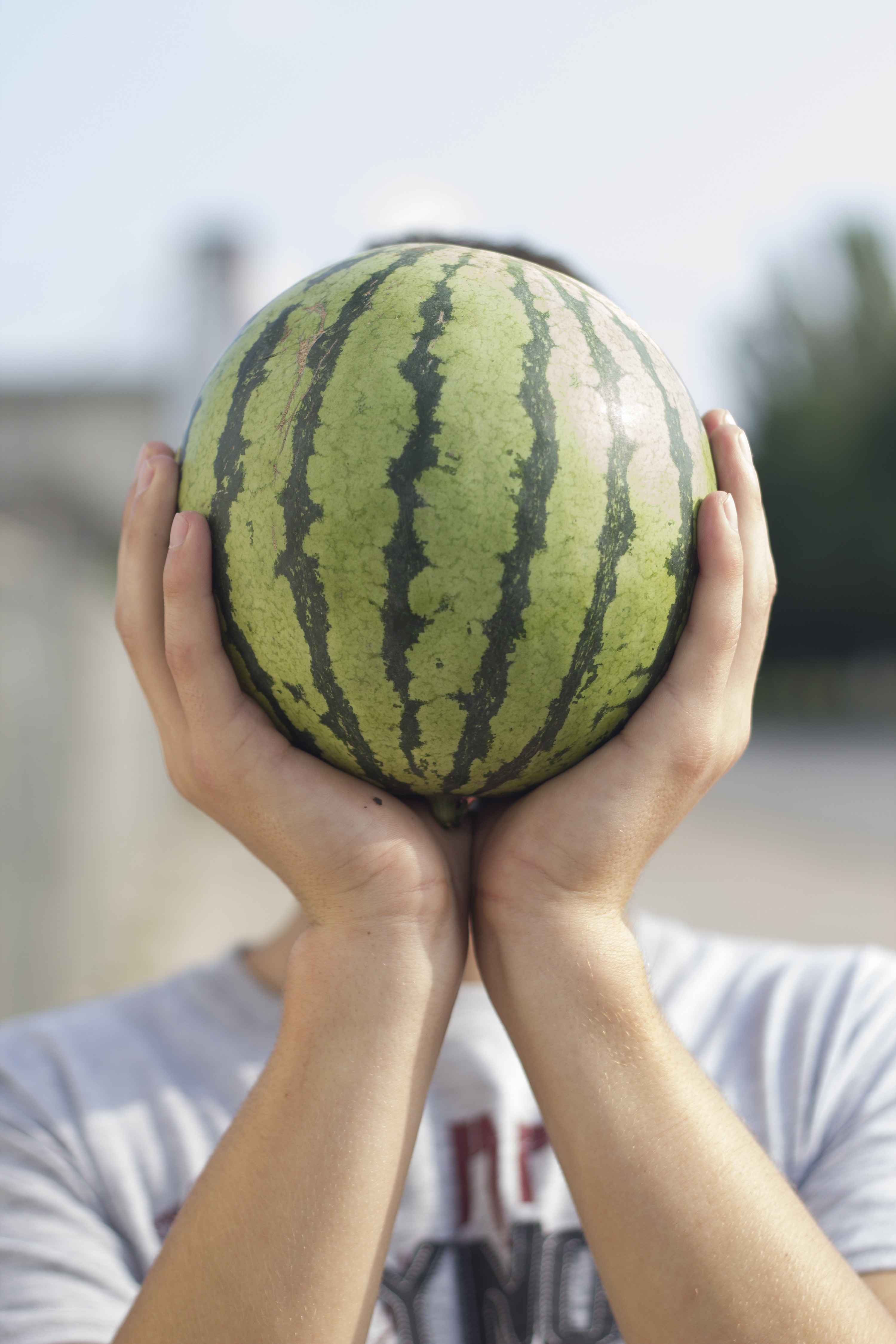person holding watermelon